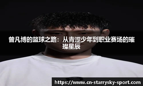 星空体育官网入口