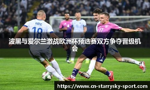 波黑与爱尔兰激战欧洲杯预选赛双方争夺晋级机会